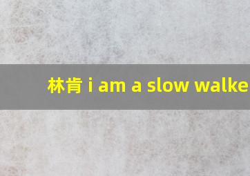 林肯 i am a slow walker